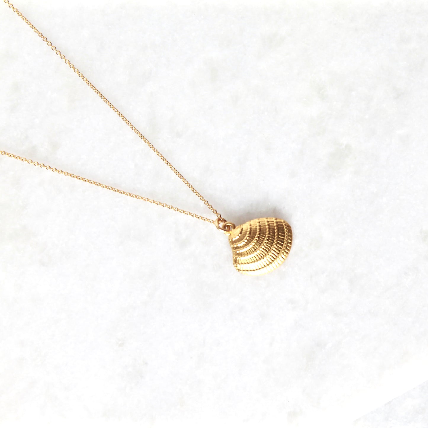 Davao Sunray Venus Shell Necklace