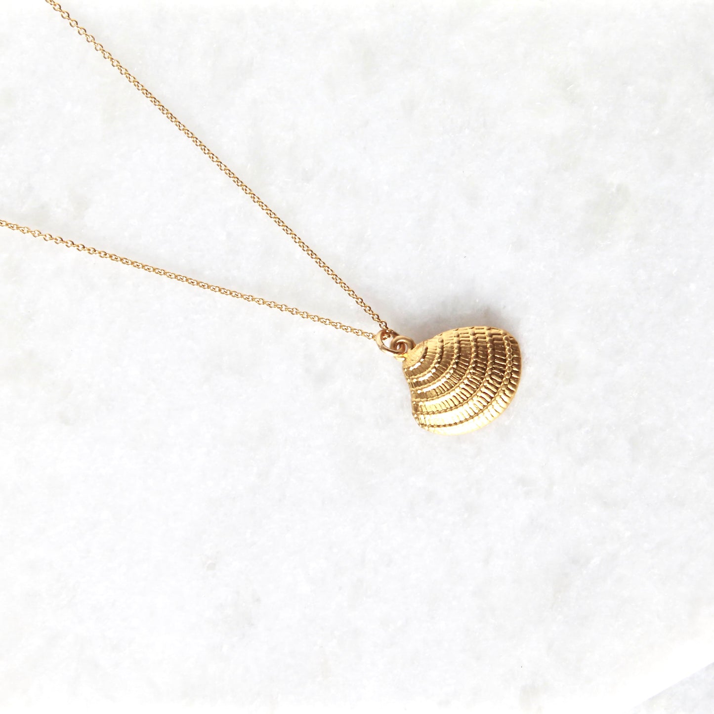 Davao Sunray Venus Shell Necklace