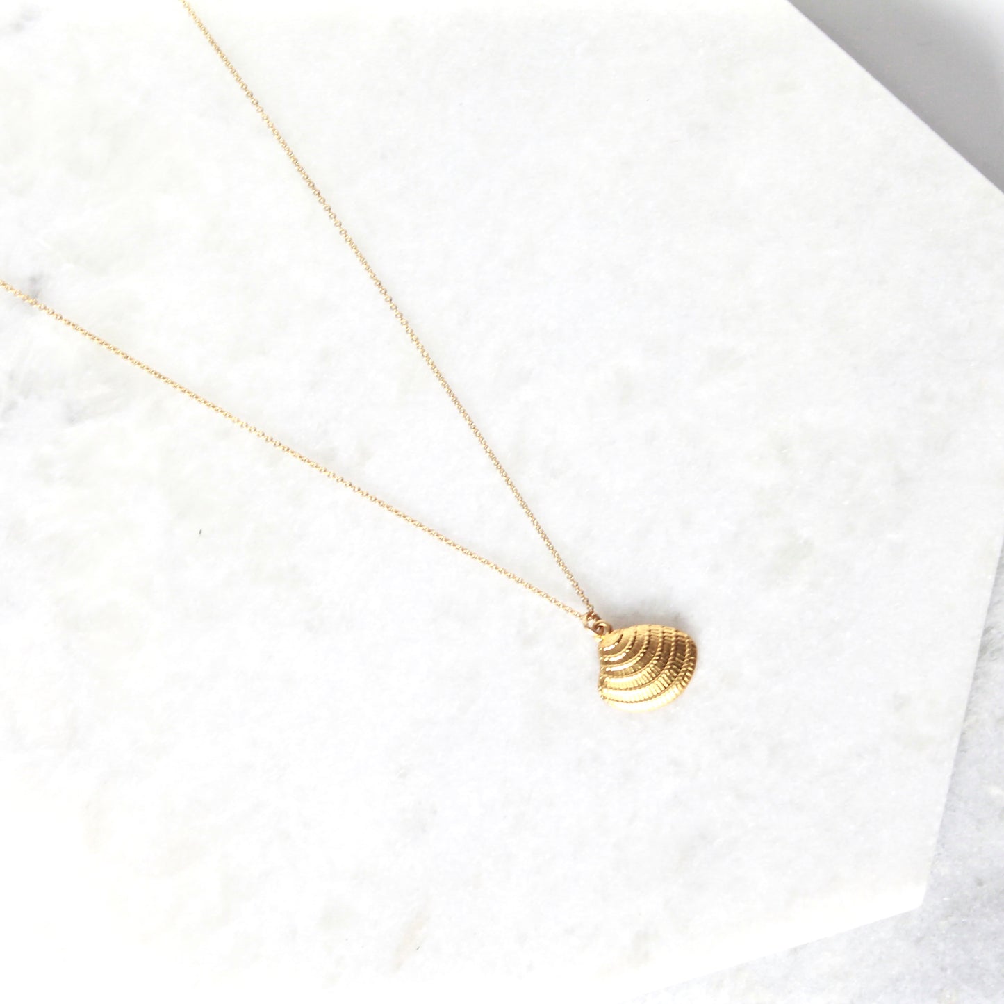 Davao Sunray Venus Shell Necklace