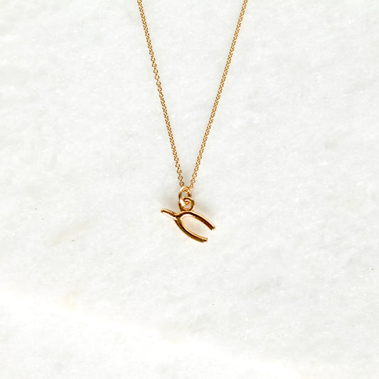 Make a Wish Mini Wishbone Necklace